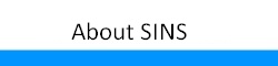 About SINS